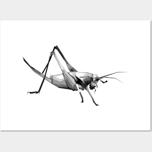 grayscale grasshopper Posters and Art